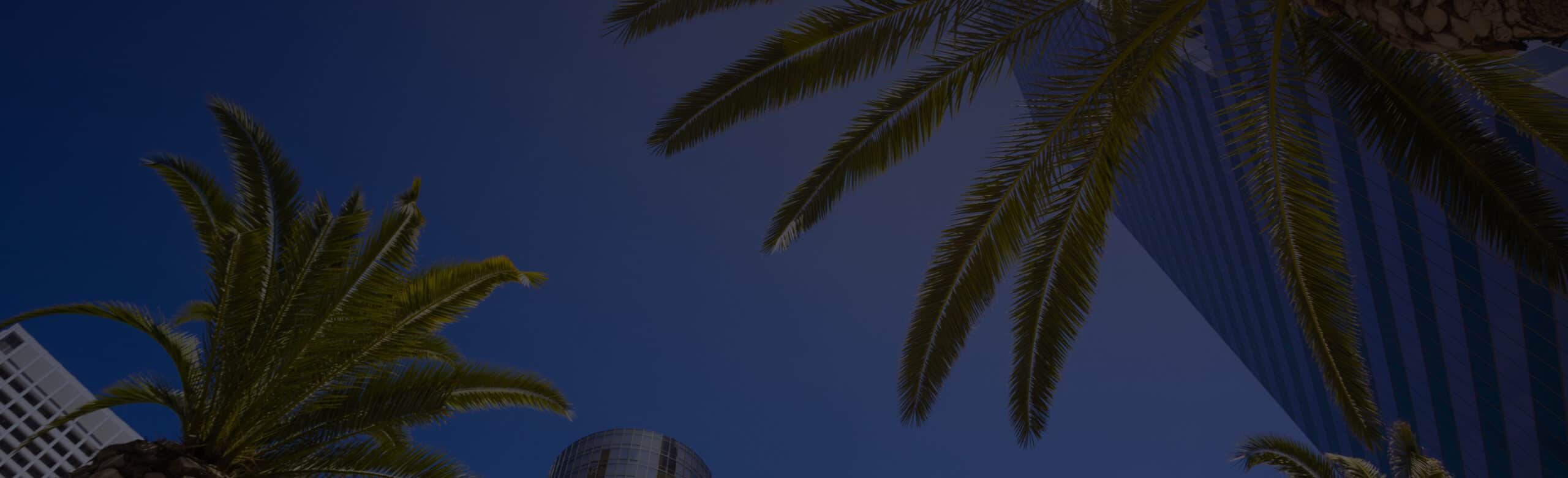 sky with palm trees and buildings